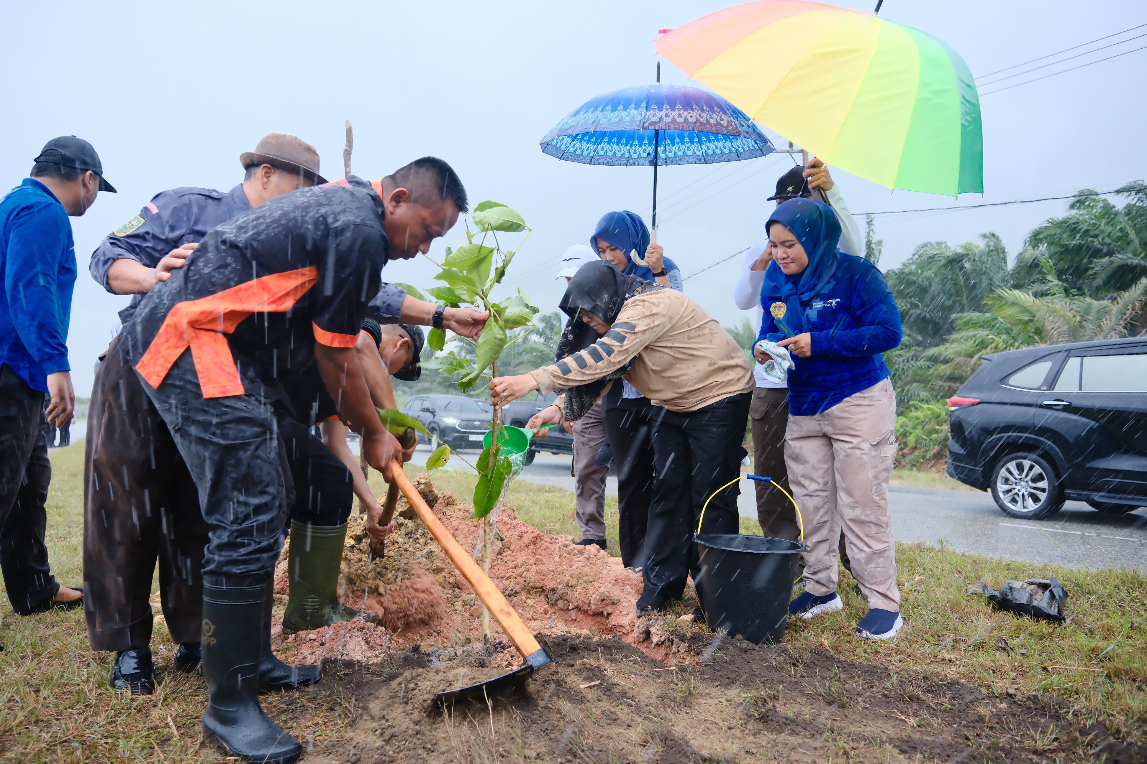 Bersumber dari APBD, Bupati Afni Hijaukan Jalan Siak–Dayun 15 Km, Setiap Pohon Akan Bersertifikat dan Punya Penjaga