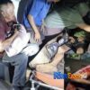 Pekerja di Sungai Apit Siak Diterkam Harimau Sumatera Saat Buang Air, Korban Selamat