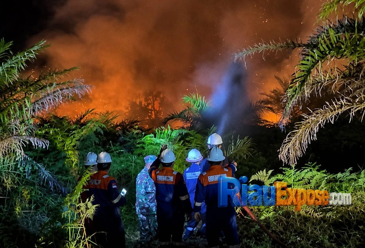 Bupati Afni Bersama Forkopimda Padamkan Karhutla di Lintasan Harimau Sumatera