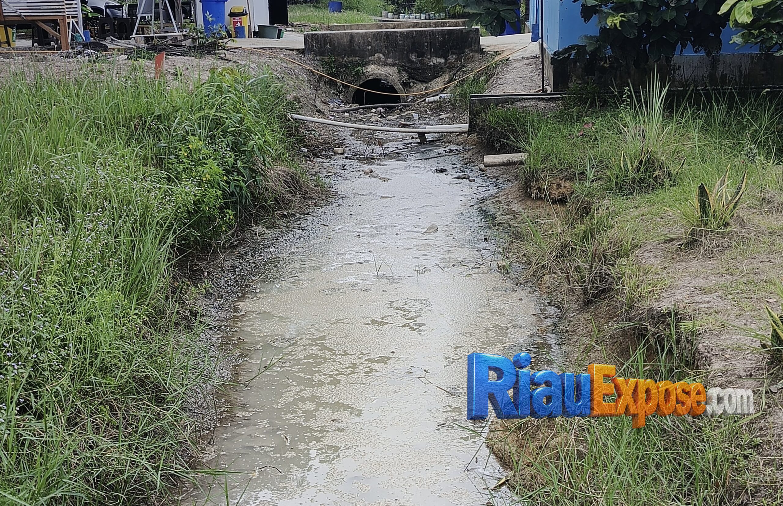 Warga Suak Rengas Siak mengeluhkan limbah dapur SPPG Program Makan Bergizi Gratis (MBG) yang menimbulkan bau menyengat dari saluran drainase di sekitar permukiman.