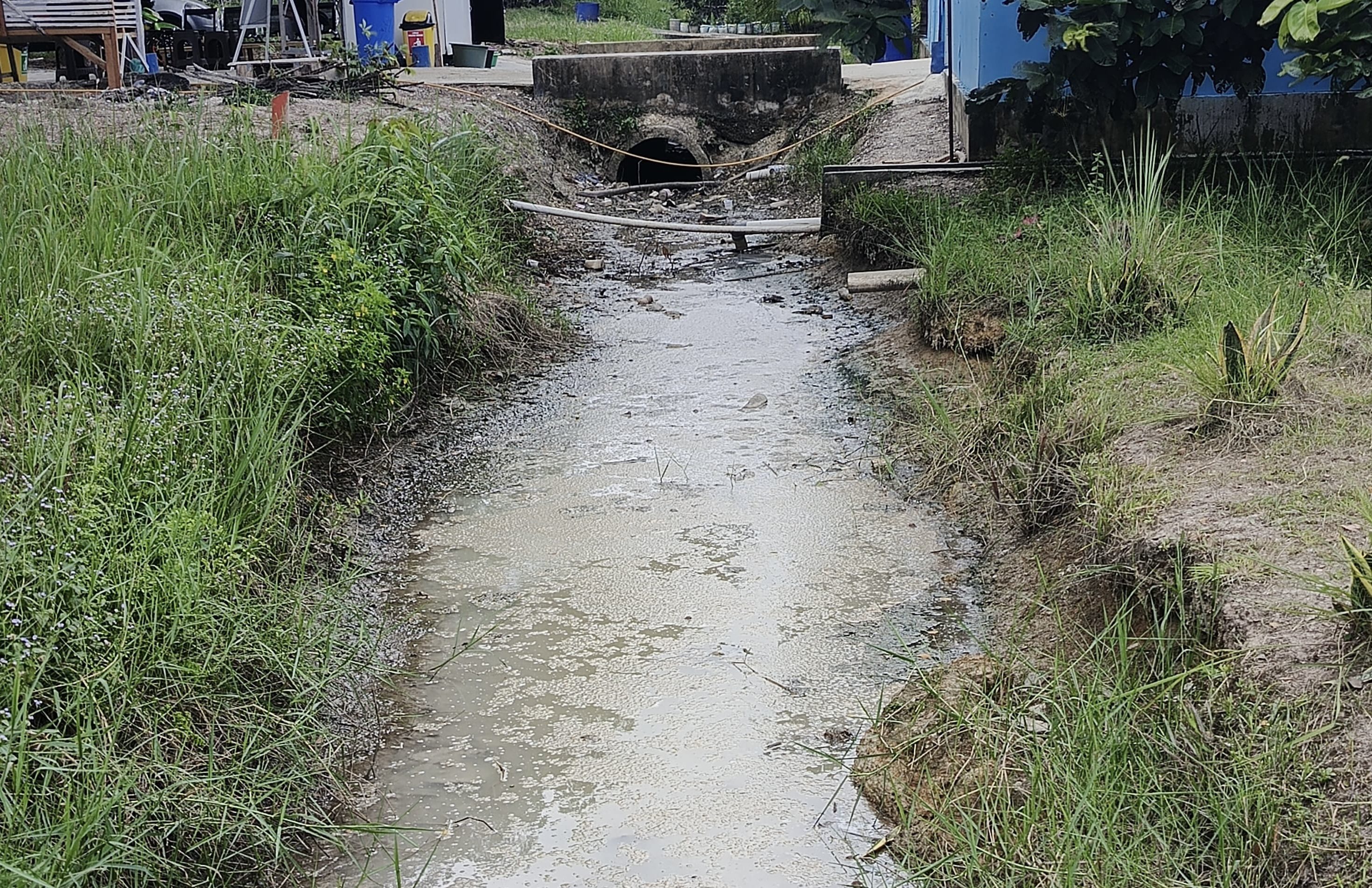 Warga Suak Rengas Siak Keluhkan Limbah SPPG MBG, Bau Menyengat Saat Hujan dan Panas Terik