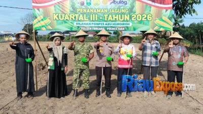 Polsek Tualang bersama Upika dan stakeholder menanam jagung Kuartal III 2026 di Pondok Pesantren Abu Huroiroh, Perawang Barat, Siak.