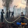 46 Personel Brimob Polda Riau Perkuat Pemadaman Karhutla di Kampar