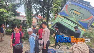 Bus ALS terbalik di Jalan Lingkar Pangkalan Kerinci, Kabupaten Pelalawan, setelah mengalami kecelakaan tunggal.