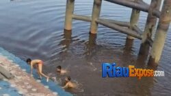 Bocah 13 Tahun Tenggelam di Turap Siak, Warga Soroti Lemahnya Pengawasan di Kawasan Wisata 5 Bocah 13 tahun yang diduga tenggelam di kawasan Turap Sungai Siak, depan Klenteng Siak.