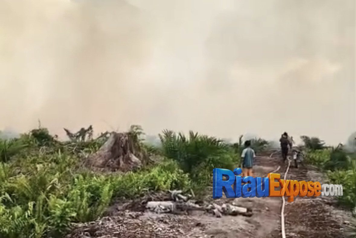 25 Hotspot Terdeteksi di Riau, Satgas Berhasil Padamkan Karhutla dengan Water Bombing
