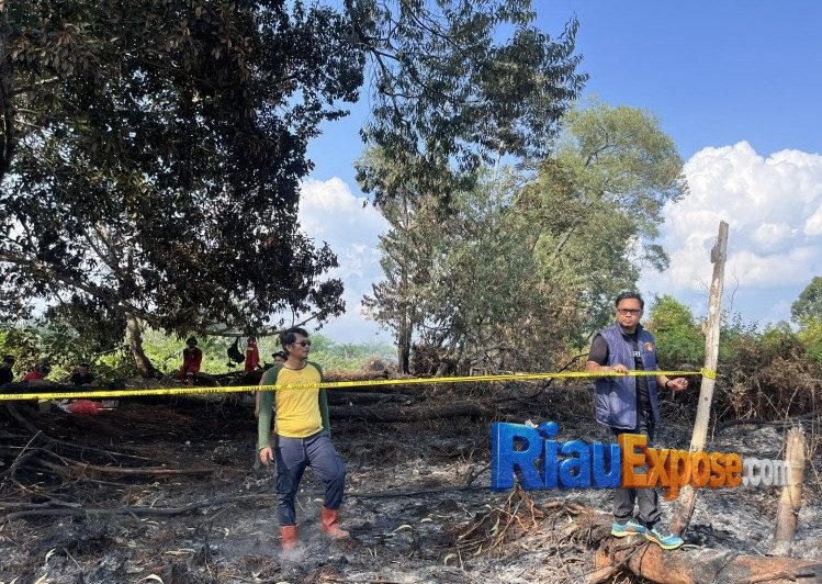 Terpantau Dashboard Lancang Kuning, Polres Pelalawan Tangkap Pembakar Hutan di Kerumutan