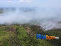 11 Kabupaten/Kota Riau Siaga Darurat Karhutla, 15.608 H Lahan Terbakar, Bagaimana Kualitas Udara?