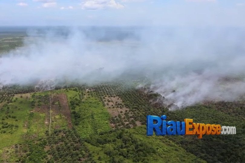 11 Kabupaten/Kota Riau Siaga Darurat Karhutla, 15.608 H Lahan Terbakar, Bagaimana Kualitas Udara?