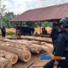 Polda Riau Tangkap DPO Ilegal Logging di BRI Lancang Kuning Pekanbaru