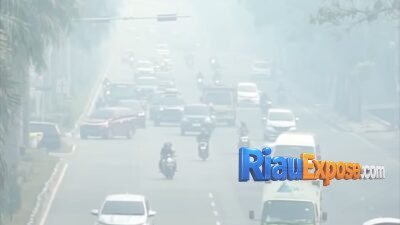 Asap Karhutla Pelalawan Terbawa Angin ke Pekanbaru, Jarak Pandang Turun 500 Meter