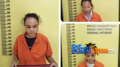 Tiga Wanita di Inhu Jadi Tersangka Jual Ekstasi, Polisi Sita 4 Butir 15 Tiga wanita tersangka dugaan jual ekstasi di Indragiri Hulu diamankan polisi