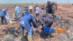 Polda Riau Usut Karhutla PT TKWL Bengkalis, 5 Ahli Turun ke Lokasi 4 Penyidik Polda Riau bersama lima ahli memeriksa lokasi karhutla di kawasan HGU PT TKWL Bengkalis.