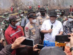 Menteri LH Tinjau Karhutla Riau, Sebut 335 Perusahaan Terindikasi Titik Api
