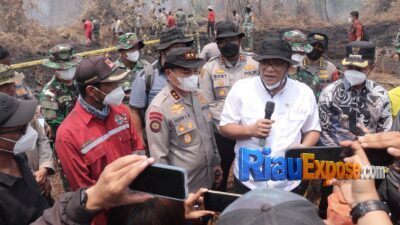 Menteri LH Tinjau Karhutla Riau, Sebut 335 Perusahaan Terindikasi Titik Api