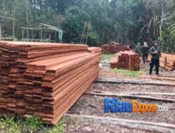 Patroli Udara Karhutla BBKSDA Riau Ungkap Illegal Logging di SM Kerumutan