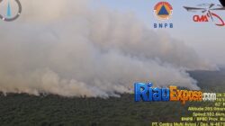 Tim gabungan memadamkan karhutla di Kerumutan Pelalawan Riau
