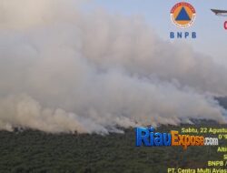 Tim Gabungan Perkuat Pemadaman Karhutla Kerumutan Pelalawan