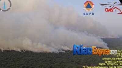Tim Gabungan Perkuat Pemadaman Karhutla Kerumutan Pelalawan