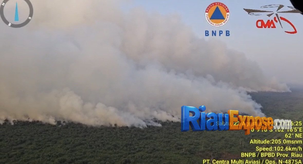 Tim Gabungan Perkuat Pemadaman Karhutla Kerumutan Pelalawan 1 Tim gabungan memadamkan karhutla di Kerumutan Pelalawan Riau