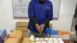 Polres Dumai mengamankan barang bukti 2 kilogram sabu dan 4 kilogram ganja dari pondok kebun sawit