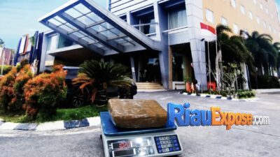 3 Wanita Ditangkap Bareskrim Polri di Pekanbaru, 10 Kg Sabu Disita di Royal Asnof Hotel