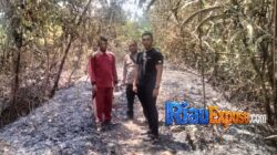 Polisi mengamankan pria yang diduga membakar kayu hingga menyebabkan lahan warga terbakar di Tarai Bangun, Tambang, Kampar.
