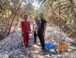 Bakar Kayu di Musim Kemarau, Pria di Tarai Bangun Tambang Ditangkap Polisi