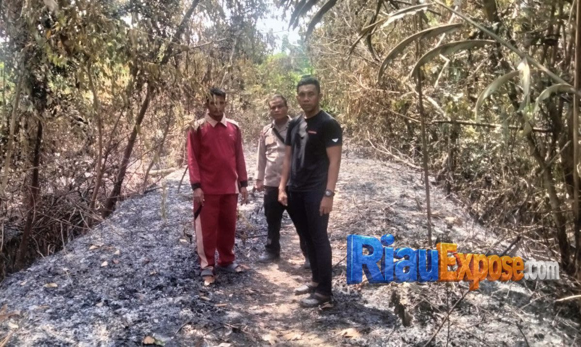 Bakar Kayu di Musim Kemarau, Pria di Tarai Bangun Tambang Ditangkap Polisi